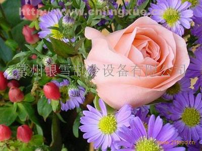 鲜花花卉冷库 为娇嫩花卉打造的专业保鲜解决方案